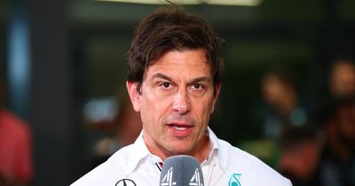 Toto Wolff wants Nyck de Vries to earn Red Bull seat so Mercedes can "fight it out"