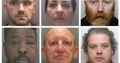 Faces of 48 sex offenders and paedophiles who were unmasked this year