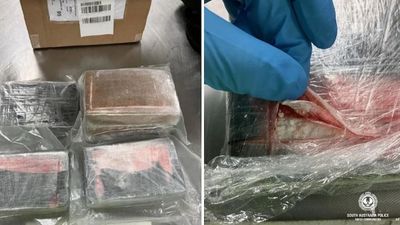 Police intercept package allegedly containing millions of dollars worth of cocaine on arrival in Adelaide