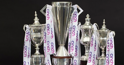 The great SPFL Premiership transfer window survey