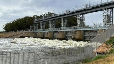 SES issues evacuation order for Menindee residents as peak Darling River floodwaters near