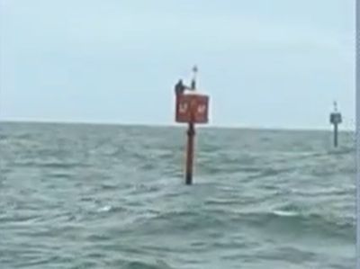 Missing fisherman found clinging to signal buoy off coast of Brazil two days after falling from his boat