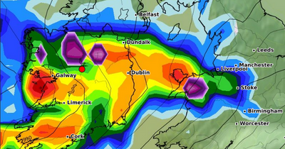 Ireland weather: Met Eireann warns of brutal conditions as gale force winds, lashing rain and -4C temp plunge