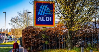 Aldi shoppers praise £10 Christmas tree storage bag that 'saves the day'