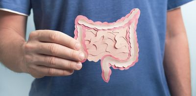 COVID and your gut: how a healthy microbiome can reduce the severity of infection – and vice versa