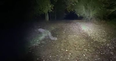 Dog walkers film 'demon' crawling across 'haunted' path