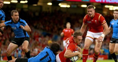 Wales World Cup try star announces retirement from rugby at age of 29 after battle with injury