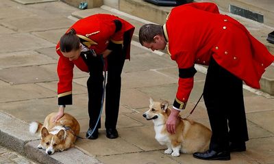 ‘Sandy, Candy, you’re moving in with Andy!’ How the royals rehomed the corgi and dorgi who lost their queen