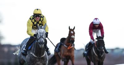 Three Stripe Life and Unexpected Depth suffer fatal injuries at Leopardstown