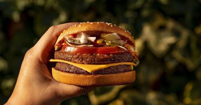 McDonald's adds new burger to its menu which has been hailed as a 'game-changer'