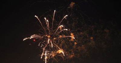 Dog expert shares clothes hack which will keep your pets safe during NYE fireworks