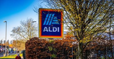 Aldi shoppers hail £10 Christmas tree storage sack that 'saves the day'