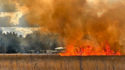 Rural Fire Service preparing for 'significant' grassfire threat across inland New South Wales