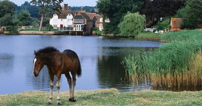 Tiny Essex village named among the poshest in the UK - see full list of areas