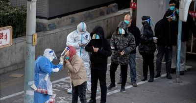 Government must consider US-style tests on China arrivals amid Covid case surge