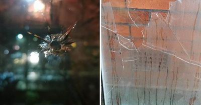 "Pay the f****** money back": Family traumatised as thugs smash house in late night random attack