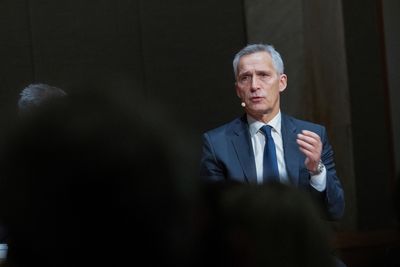 NATO's Stoltenberg calls for more weapons for Ukraine - DPA