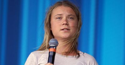 Greta Thunberg responds to Andrew Tate arrest with cheeky dig