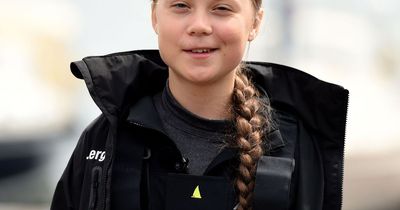 Greta Thunberg responds to Andrew Tate arrest with sassy comment after Twitter spat