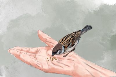 ‘A tough little sparrow’: How a ring helped me grieve my mother