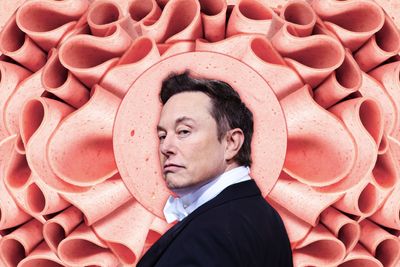 Elon banned me — and I'm a nobody