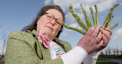 Asparagus fortune teller gives 2023 predictions - shock royal birth and World Cup glory