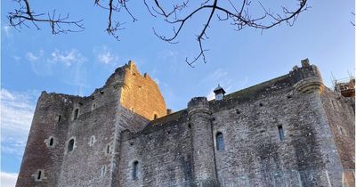 Plans submitted to fell 50 trees in woodland around historic Doune Castle
