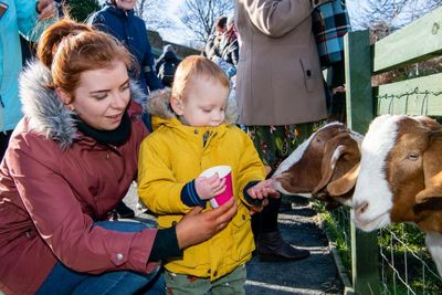 Beloved city farm set to close amid soaring prices