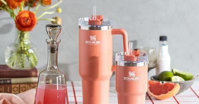 Shoppers ‘love’ TikTok's viral Stanley Quencher - here’s where you can get one