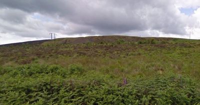 Dog trapped down 'mine shaft' since Boxing Day