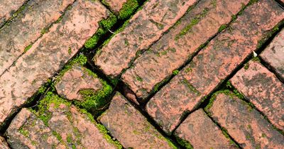 Household staple kills moss 'by magic' on paving with 'no scrubbing' for just £2.30