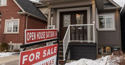 Canada bans foreigners from buying homes in bid to make property more affordable