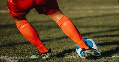Newry City's game with Glenavon rescheduled after pitch inspection