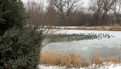 Do not fear the ice, but put the see in ice fishing for proper precautions