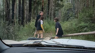 Family spends Christmas night stranded in NSW's Mount Boss forest after GPS leads them astray