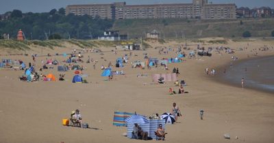 2022 to break UK warmest temperature record despite cold December start