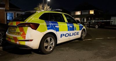 Gang of men armed with hammers and baseball bat attack car
