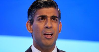 'UK's problems here to stay' Downbeat Rishi Sunak's New Year message