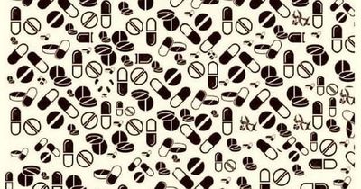 Tricky optical illusion challenges you to find a panda among this image within 12 seconds