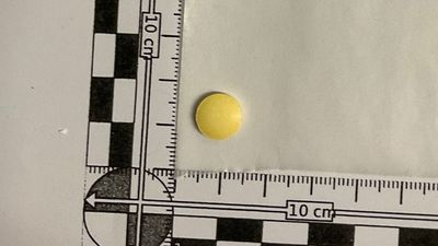Canberra's pill-testing service discovers deadly substance in counterfeit oxycodone tablets