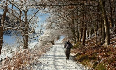 ‘Gold mist lingers over frozen marshes’: eight great UK winter walks