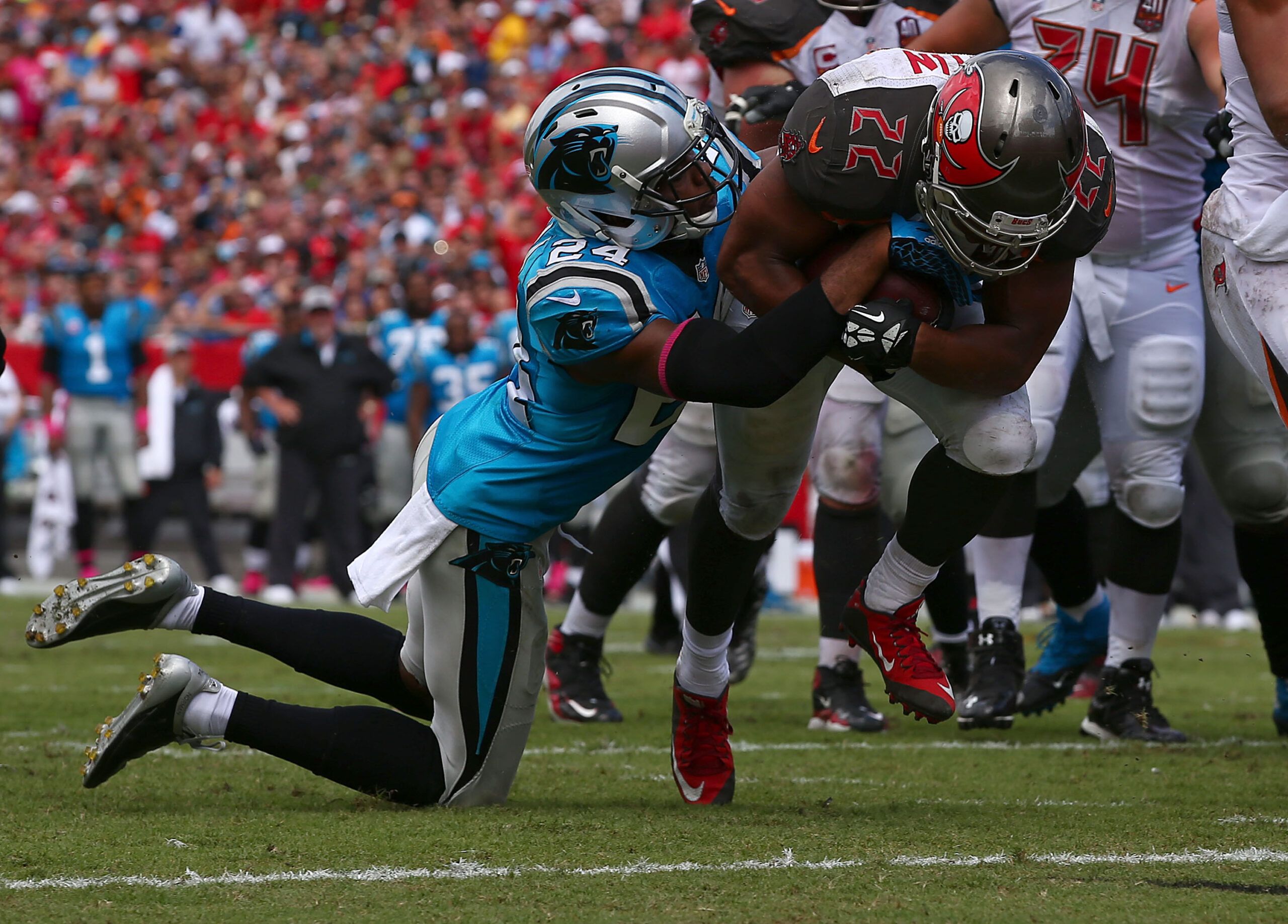 Charlotte, North Carolina visual data 3