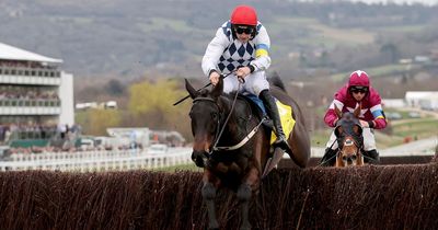 Newsboy's ITV racing tips for Cheltenham, Musselburgh and Tramore on New Year's Day