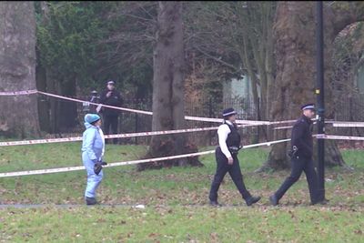 Murder probe launched as man, 29, dies after being stabbed in heart in London park