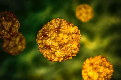 Newly-discovered organisms eat viruses
