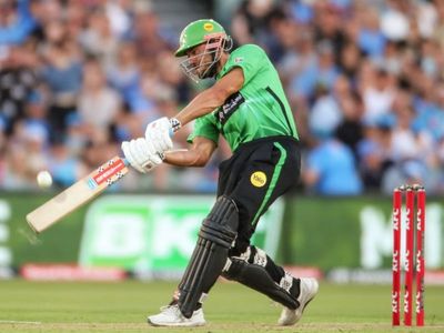 Stoinis should've been timed out: Strikers