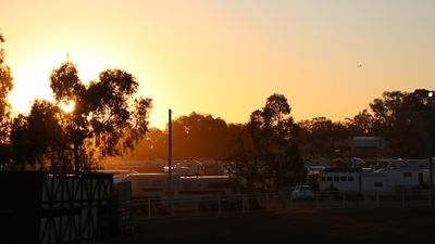 Rodeo rider dies after being kicked by bull in Warwick, in Queensland's Southern Downs