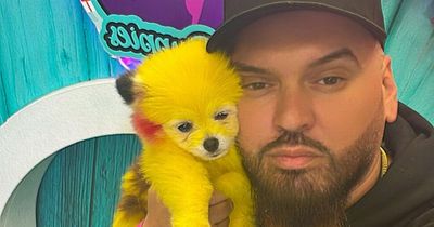 Man who brought dog he'd dyed to look like Pikachu to basketball game fined £165