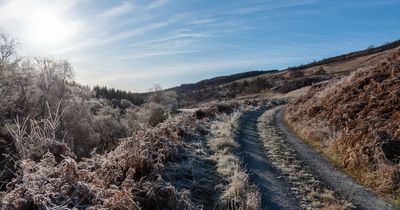 Five New Year's Day walks in Scotland that are perfect for a winter outing