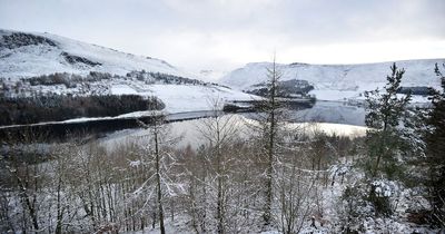 The best New Year’s Day walks in Greater Manchester to enjoy with your family